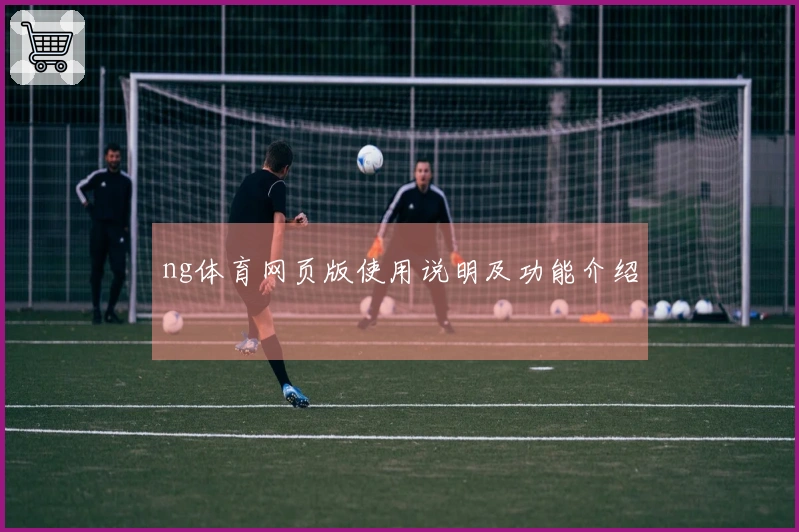 ng体育网页版使用说明及功能介绍