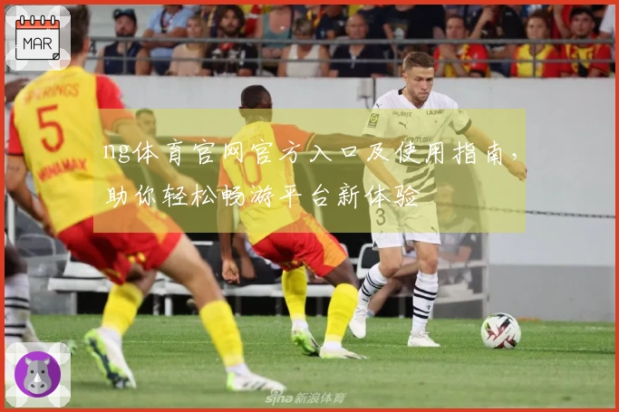 ng体育官网官方入口及使用指南，助你轻松畅游平台新体验