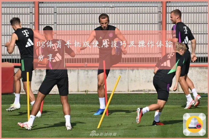 ng体育手机版使用技巧及操作体验分享