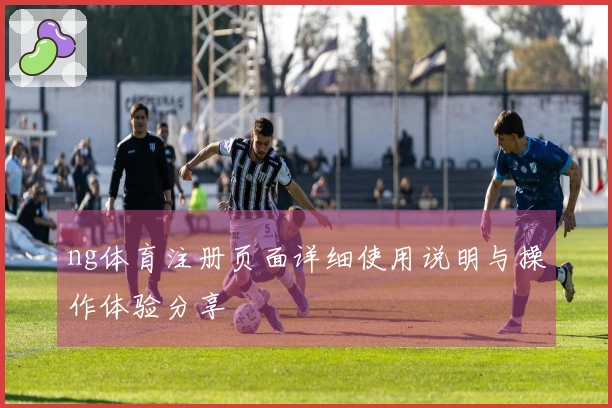 ng体育注册页面详细使用说明与操作体验分享