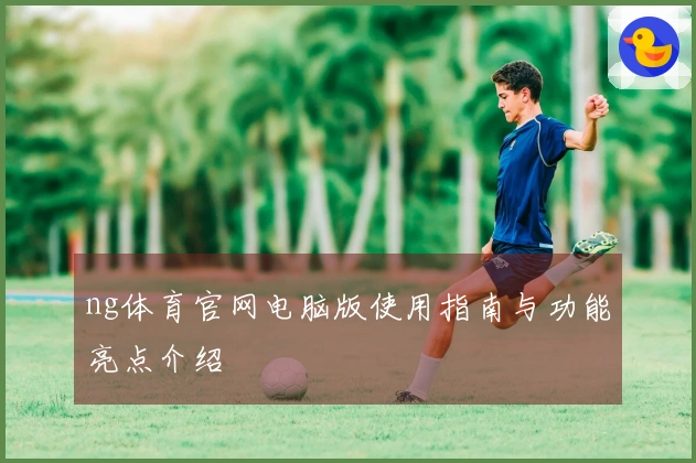 ng体育官网电脑版使用指南与功能亮点介绍