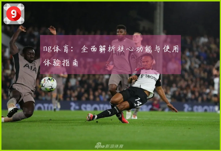 ng体育：全面解析核心功能与使用体验指南