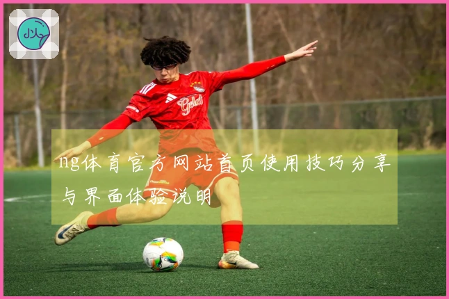 ng体育官方网站首页使用技巧分享与界面体验说明